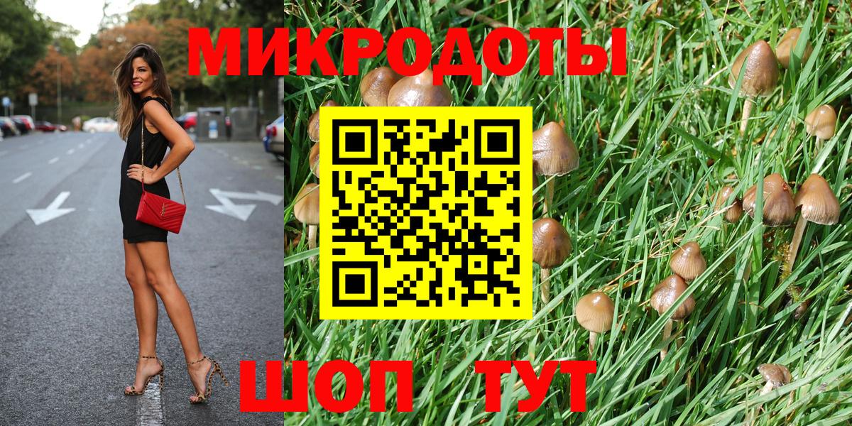 Галлюциногенные грибы мицелий Электросталь