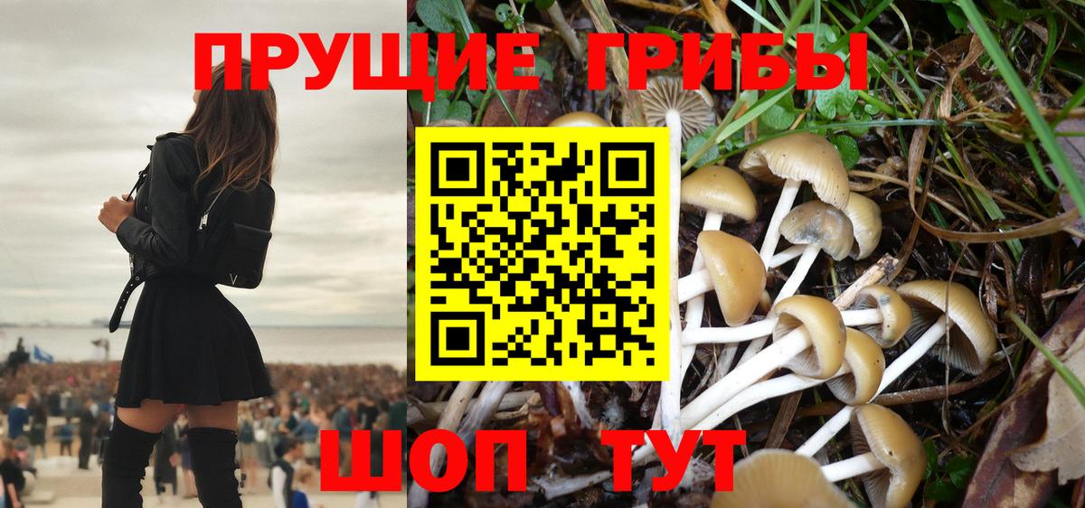 Электросталь  Псилоцибиновые грибы Psilocybine cubensis  Вход с VPN 